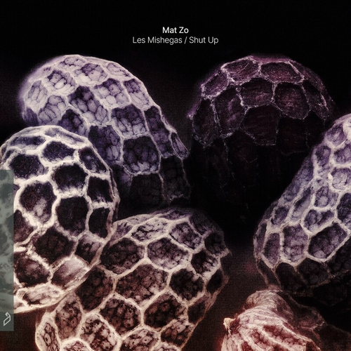 Mat Zo - Les Mishegas _ Shut Up [ANJ886D]